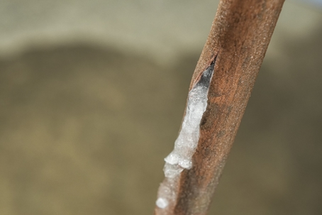 Frozen pipe that burst